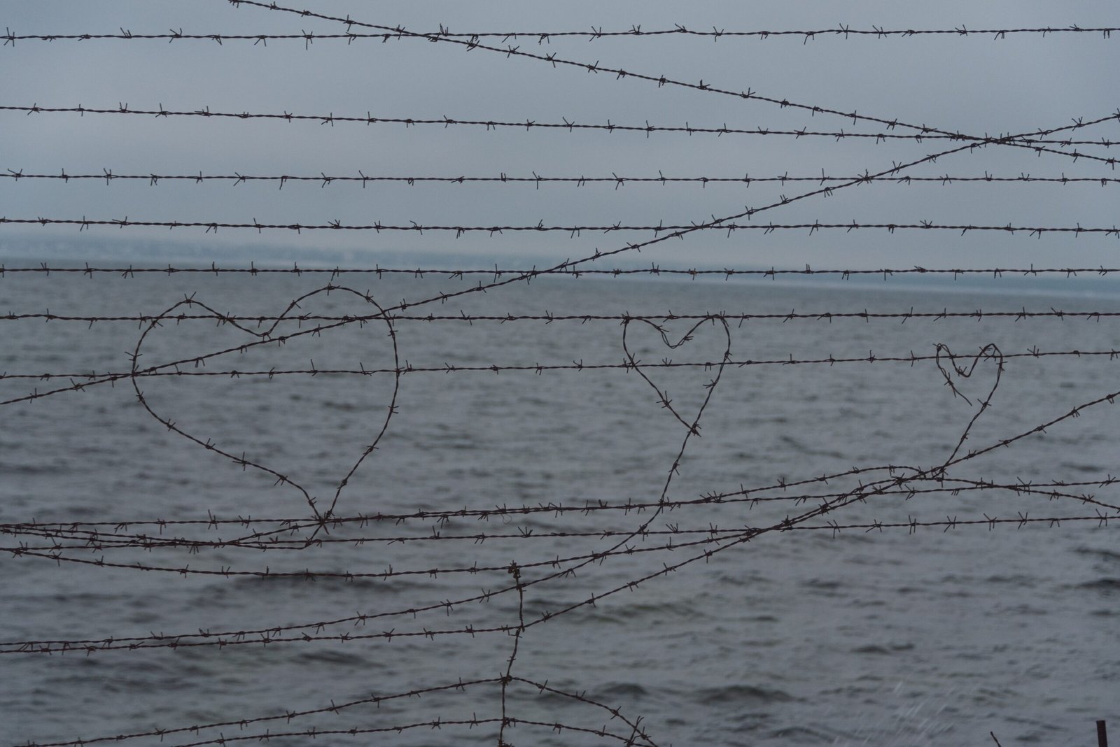 a couple of hearts drawn on a barbed wire fence