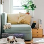 Top Sustainable Home Improvement Tips for a Greener Future