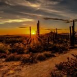 Discover the Luxury and Beauty of Scottsdale, Arizona