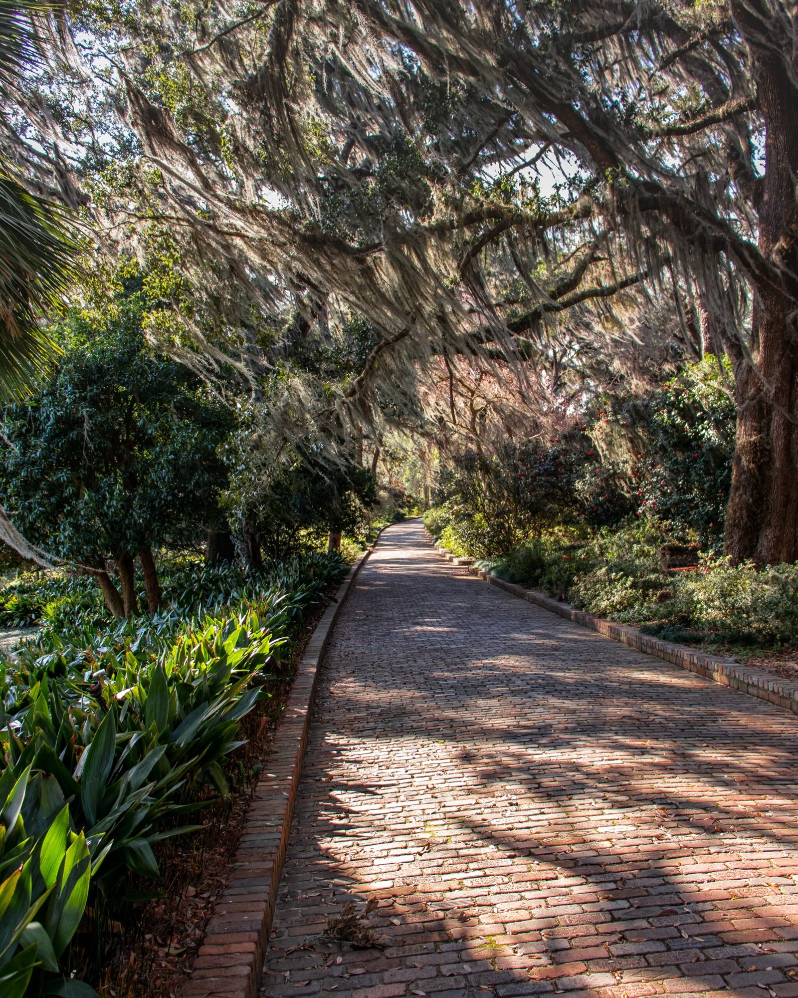 Exploring Tallahassee, Florida: A Haven of History, Culture, and Outdoor Adventure