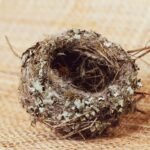 Navigating Empty Nest Together: Strategies for Strengthening Your Marriage