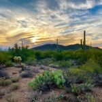 Exploring the Rich History and Vibrant Culture of Tucson, Arizona