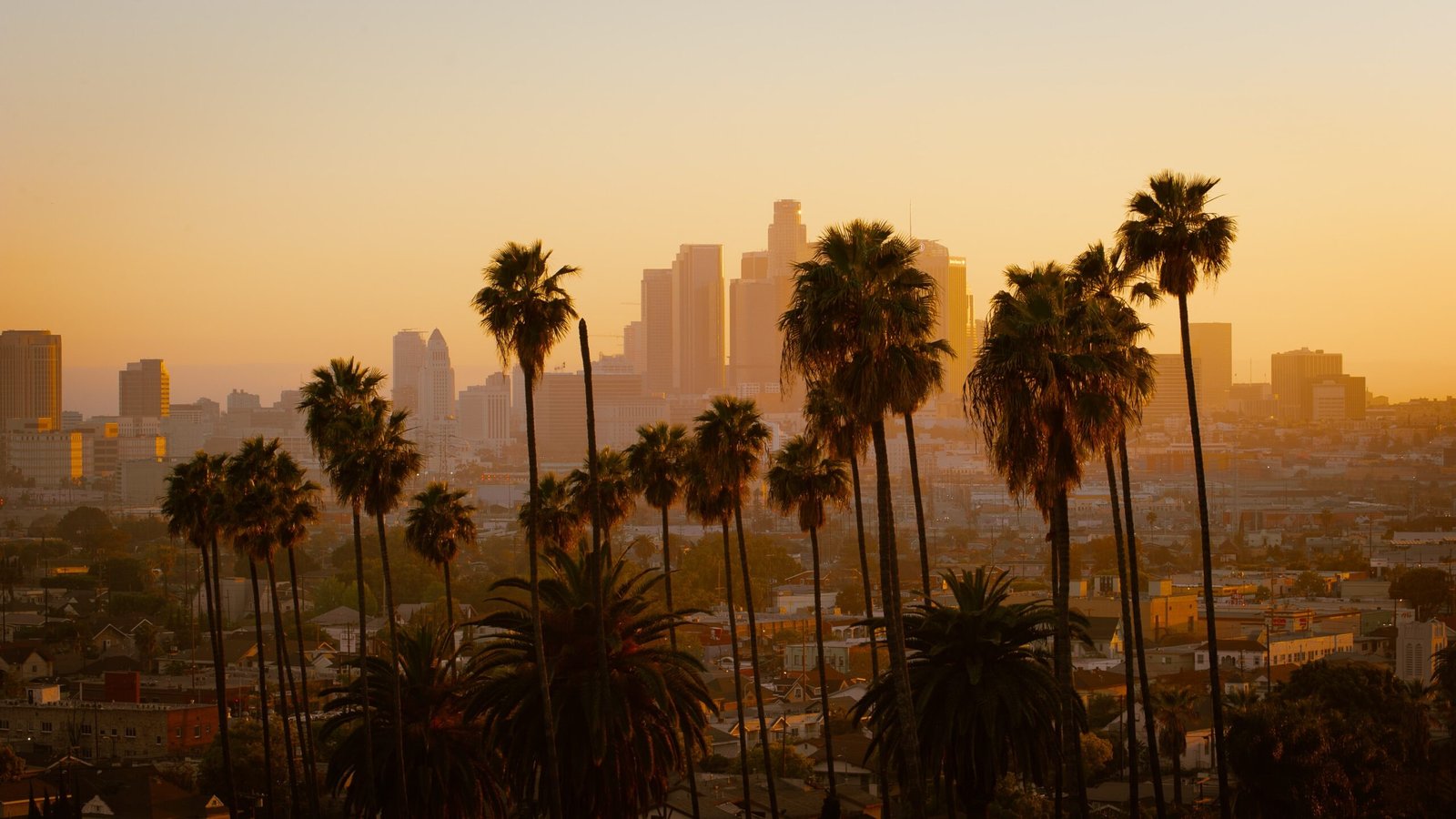 Exploring the Best of Los Angeles: From Hollywood to Beautiful Beaches