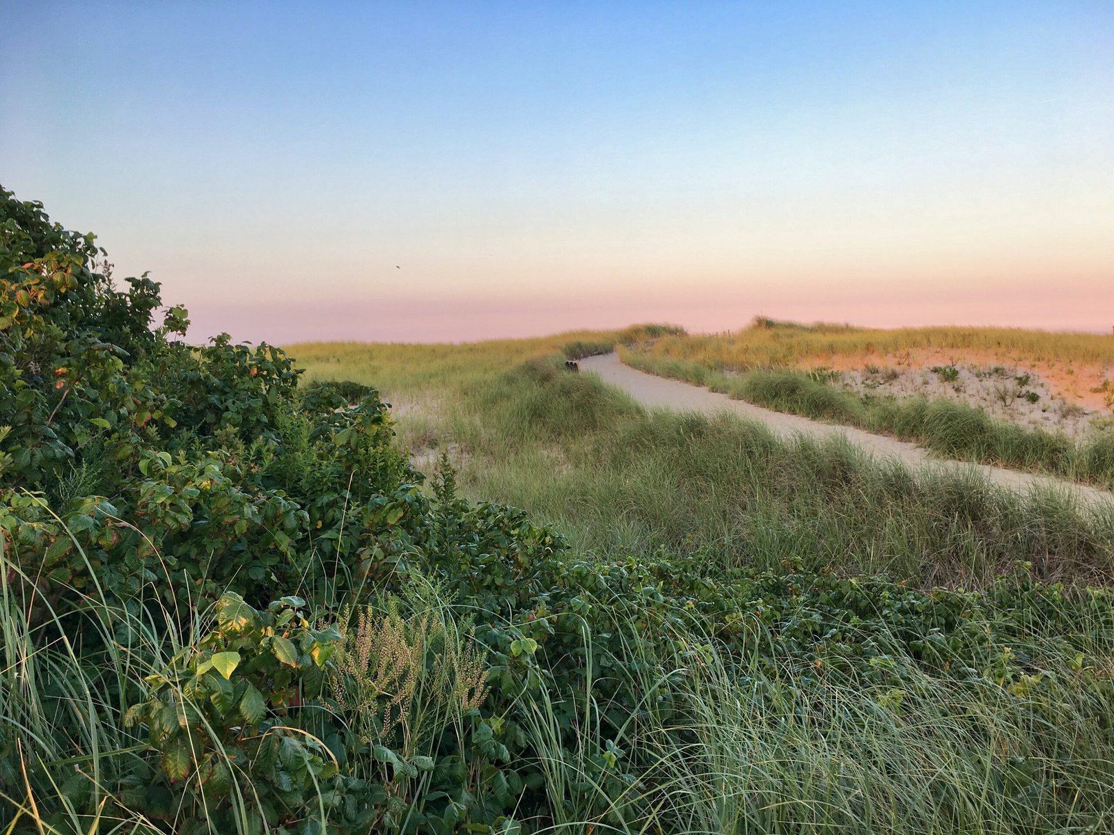 Explore the Charm and Beauty of Cape Cod, Massachusetts