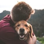 Signs Your Dog Loves You: Top 10 Ways to Know Your Furry Friend Cares