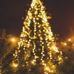 The Ultimate Guide to Choosing the Best Christmas Tree Lights