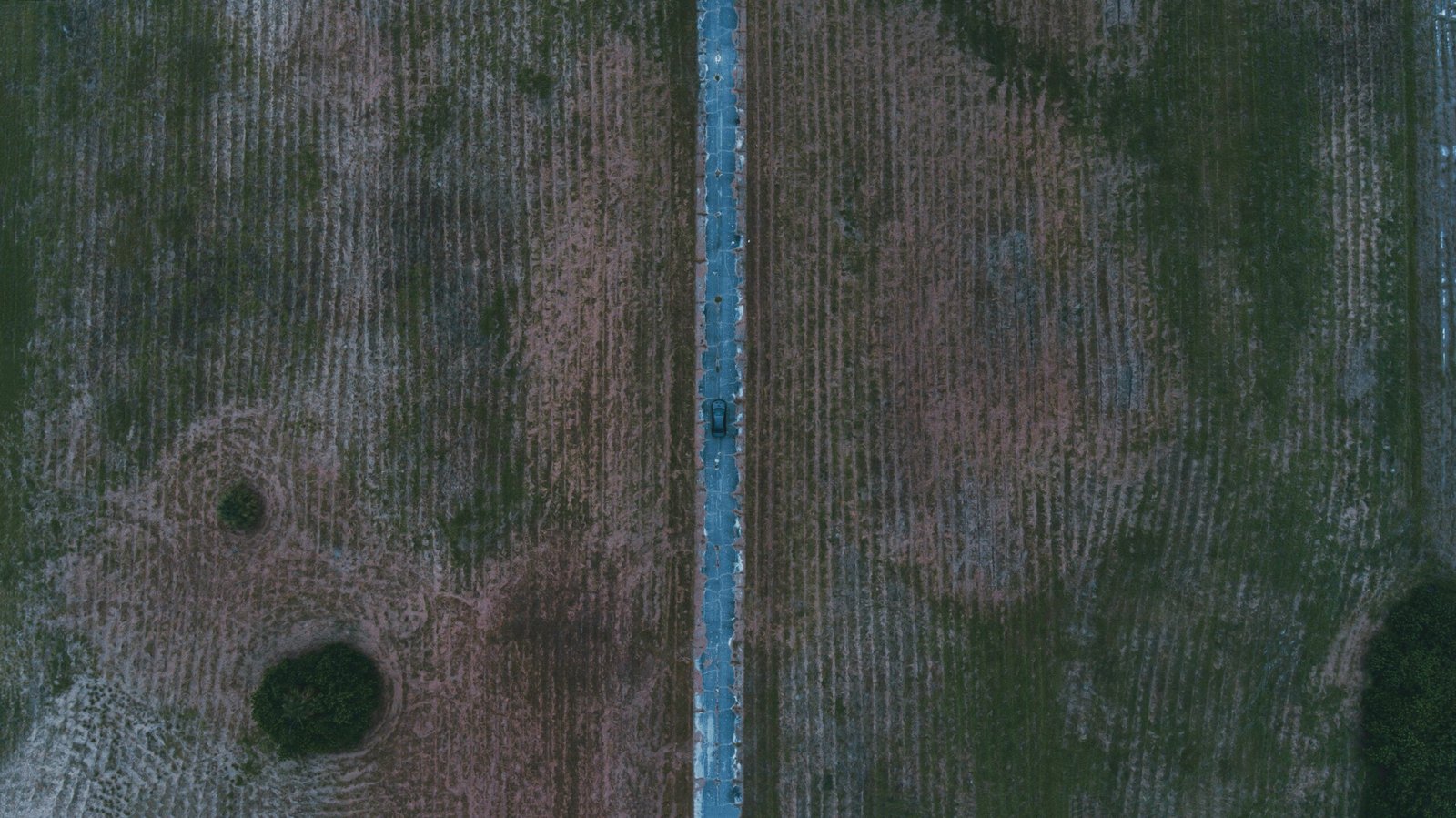a bird's eye view of a field with a bird's eye view