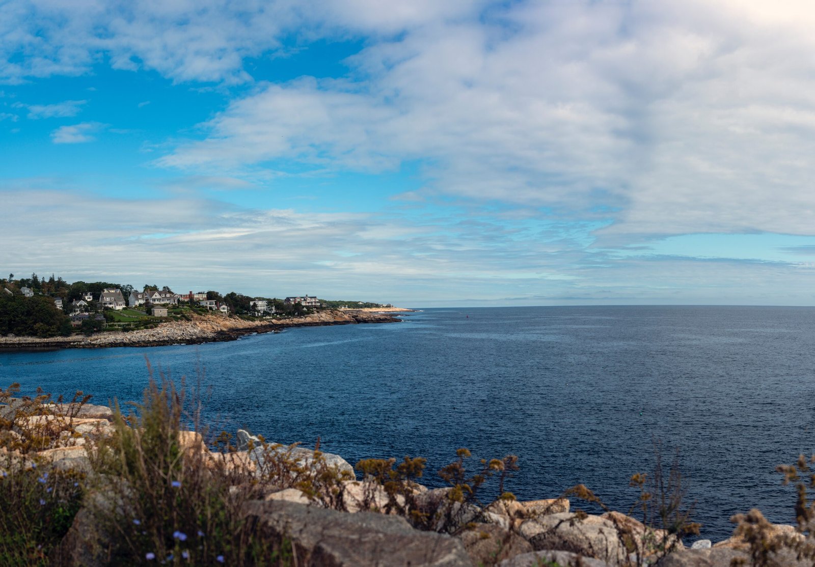 a body of water surrounded by rocks and plants