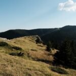 Exploring the Natural Beauty of Kopaonik, Serbia: A Guide to the Top Attractions and Latest News