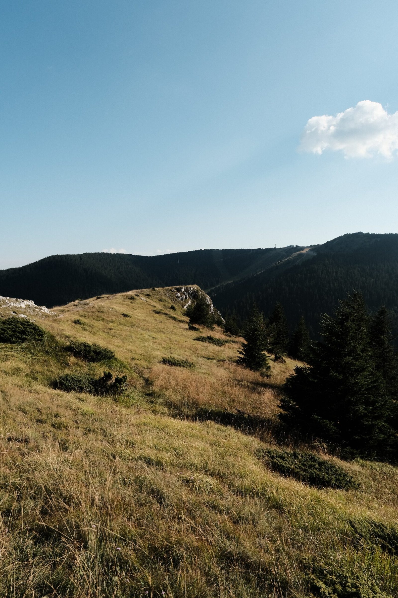 Exploring the Natural Beauty of Kopaonik, Serbia: A Guide to the Top Attractions and Latest News