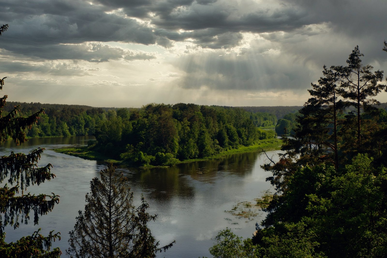 a river surrounded by trees under a cloudy sky