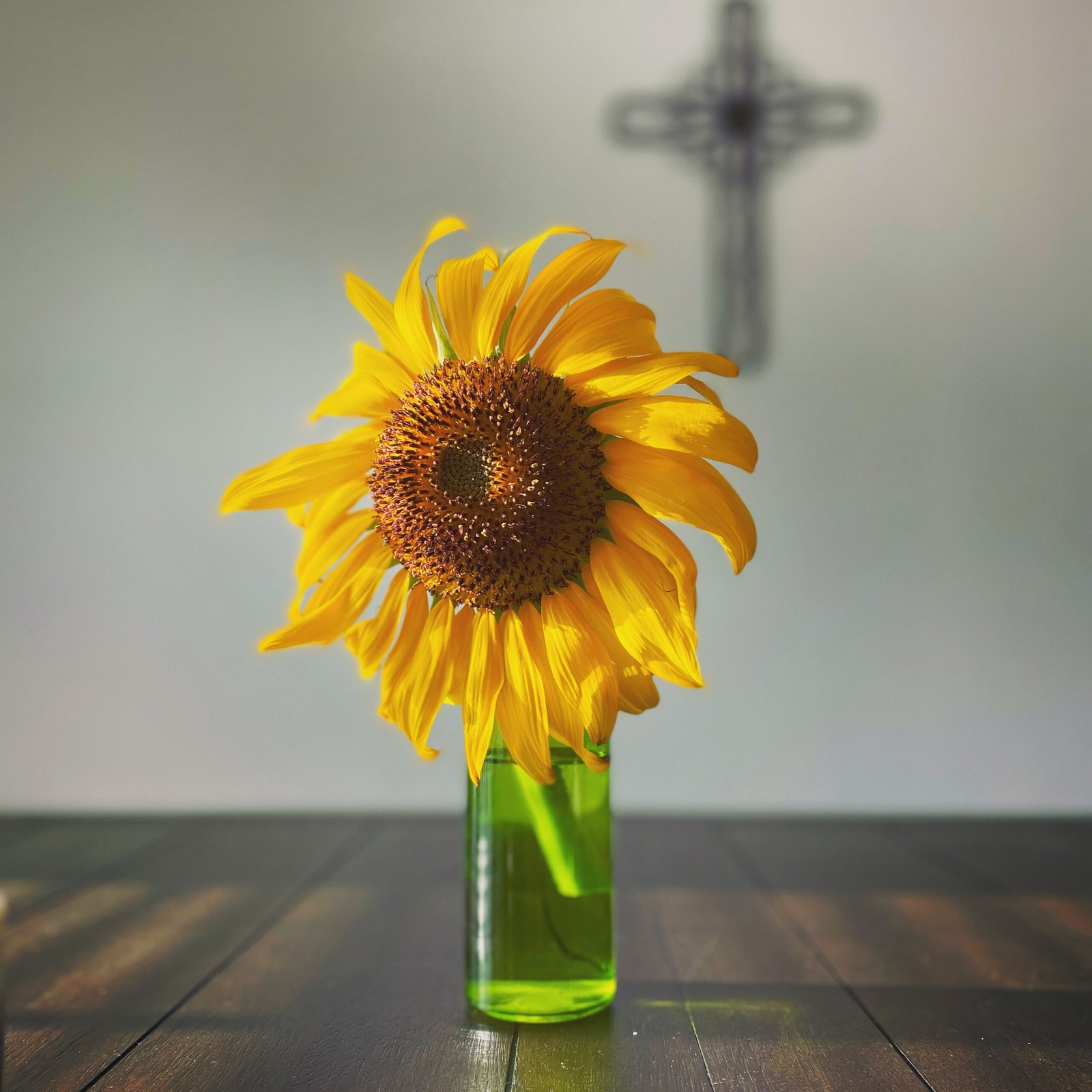 a yellow flower in a glass vase