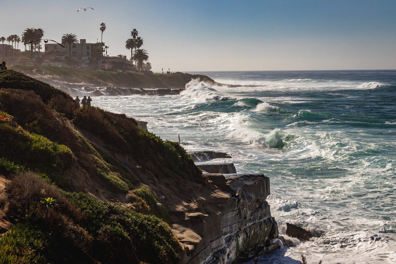 Exploring the Beauty of La Jolla, California: A Guide to the Top Attractions and Latest News