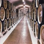 Exploring the Hidden Gems of Cricova Winery, Moldova: A Wine Lover’s Paradise