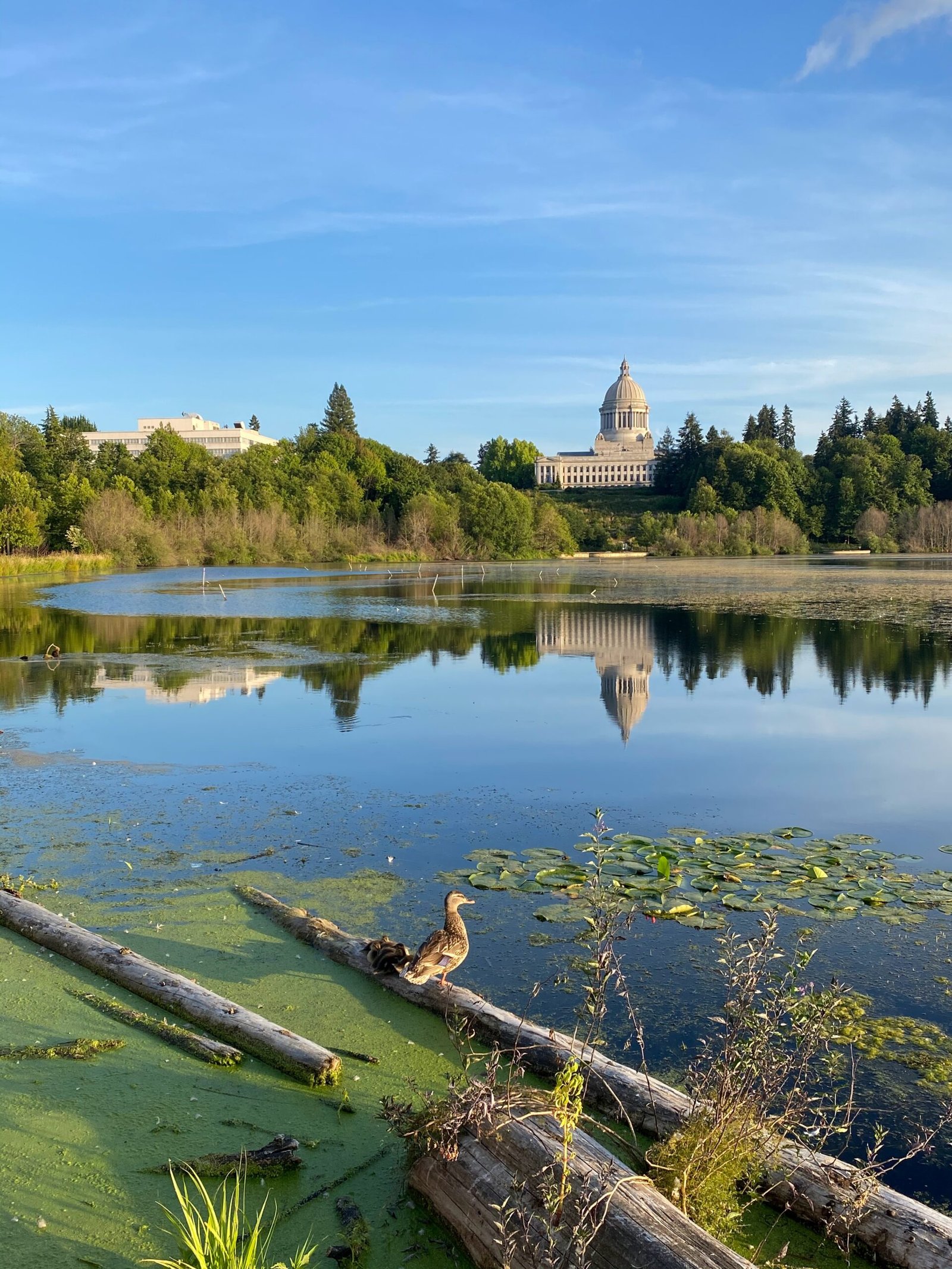 Exploring Olympia, Washington: A Guide to the Capital City