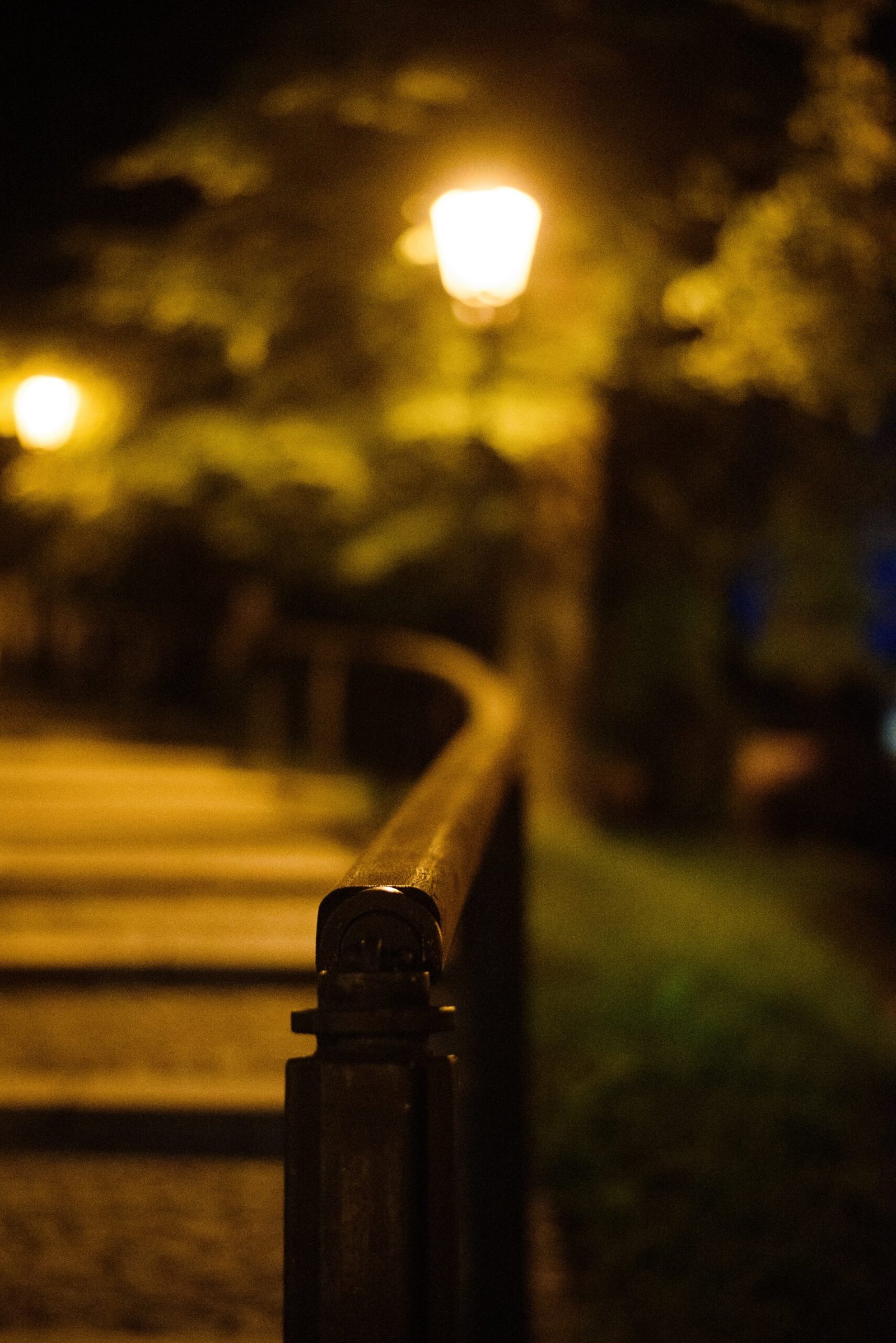 brown wooden fence on green grass field during night time