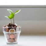 Top 10 Ways to Save Money: Expert Tips and Latest Trends