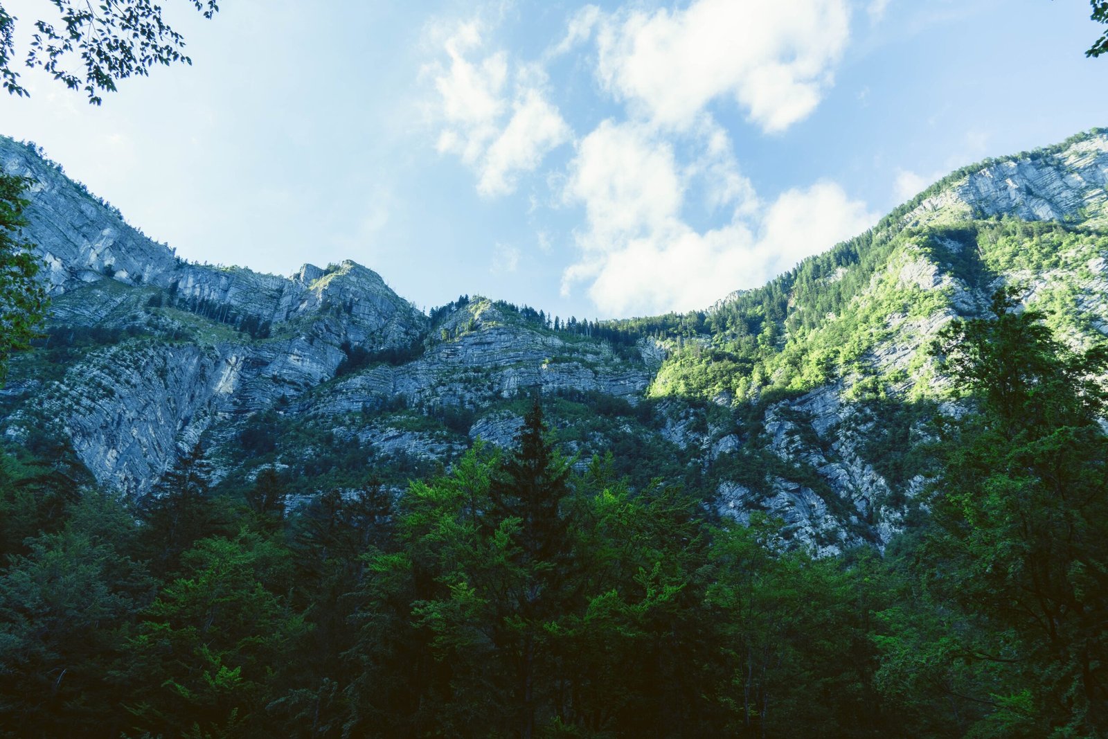 Exploring the Beauty of Triglav National Park: A Guide to Slovenia’s Natural Gem