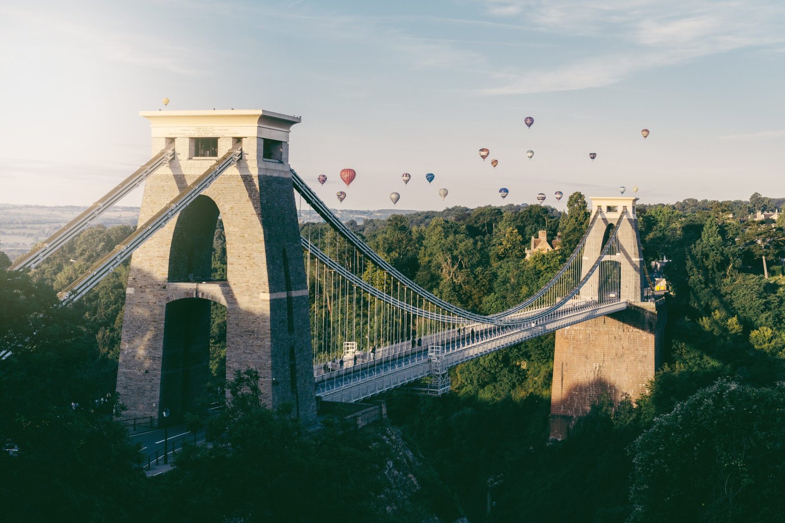 hot air balloons flying above trees