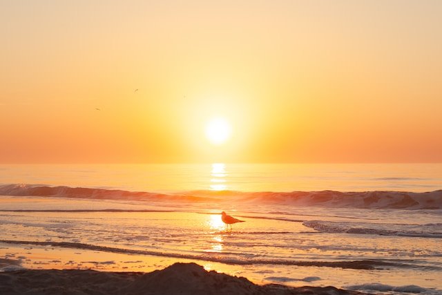 Hilton Head Island, South Carolina