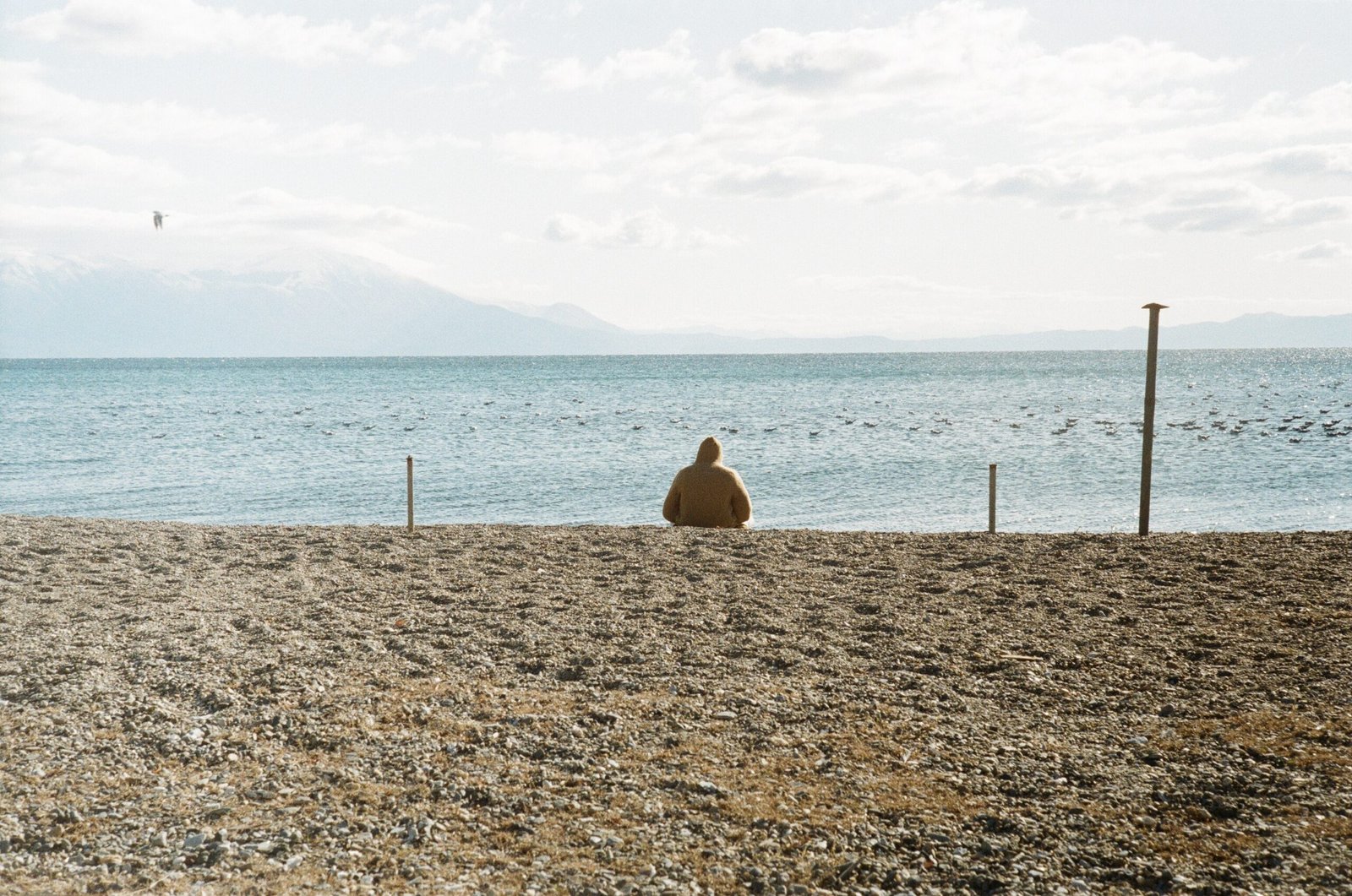 person sitting on brown sand near body of water during daytime