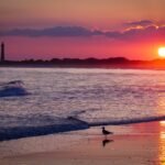 Exploring the Charm of Cape May, New Jersey: A Guide to the Top Attractions and Latest News