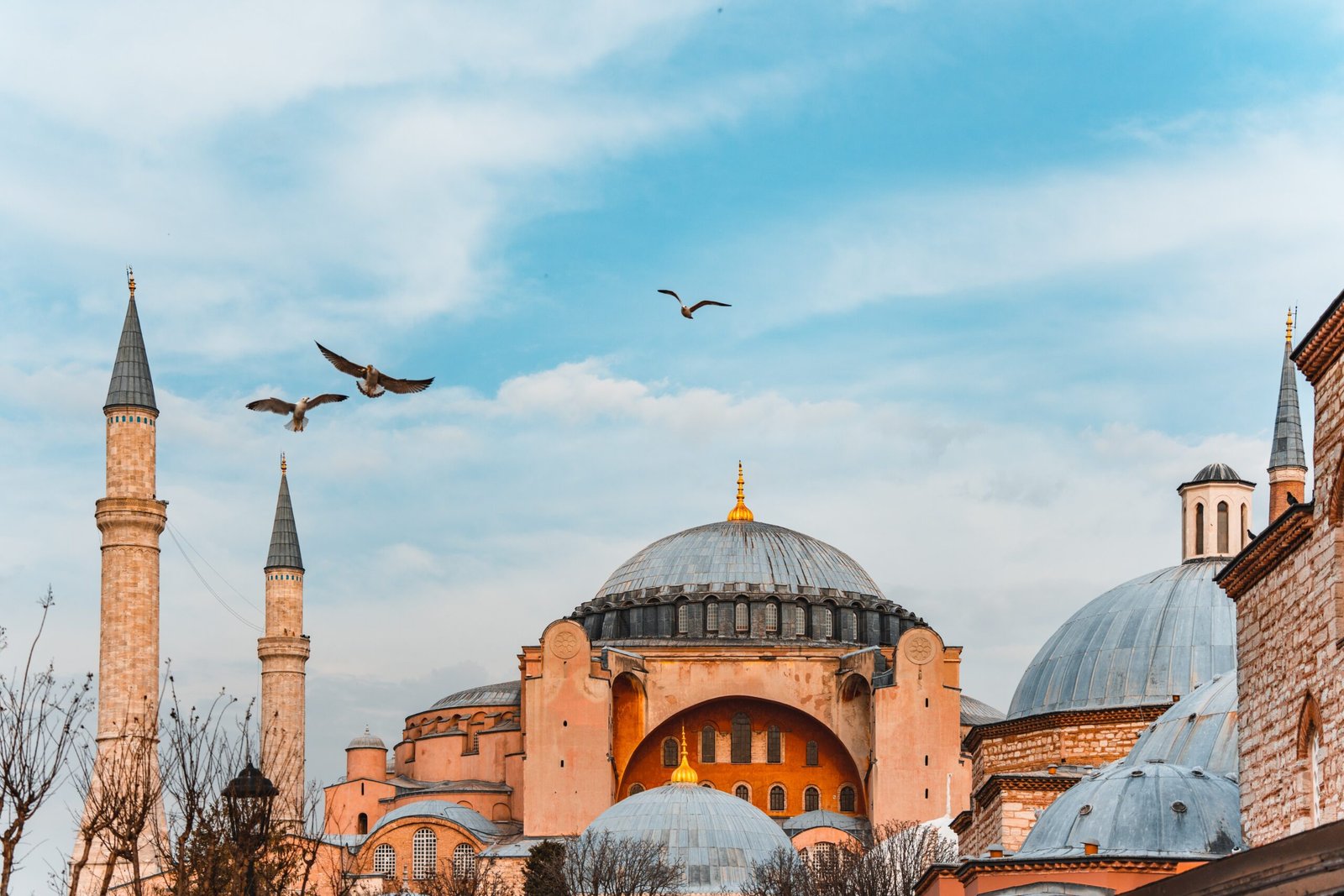 two birds flying over a large building with domes