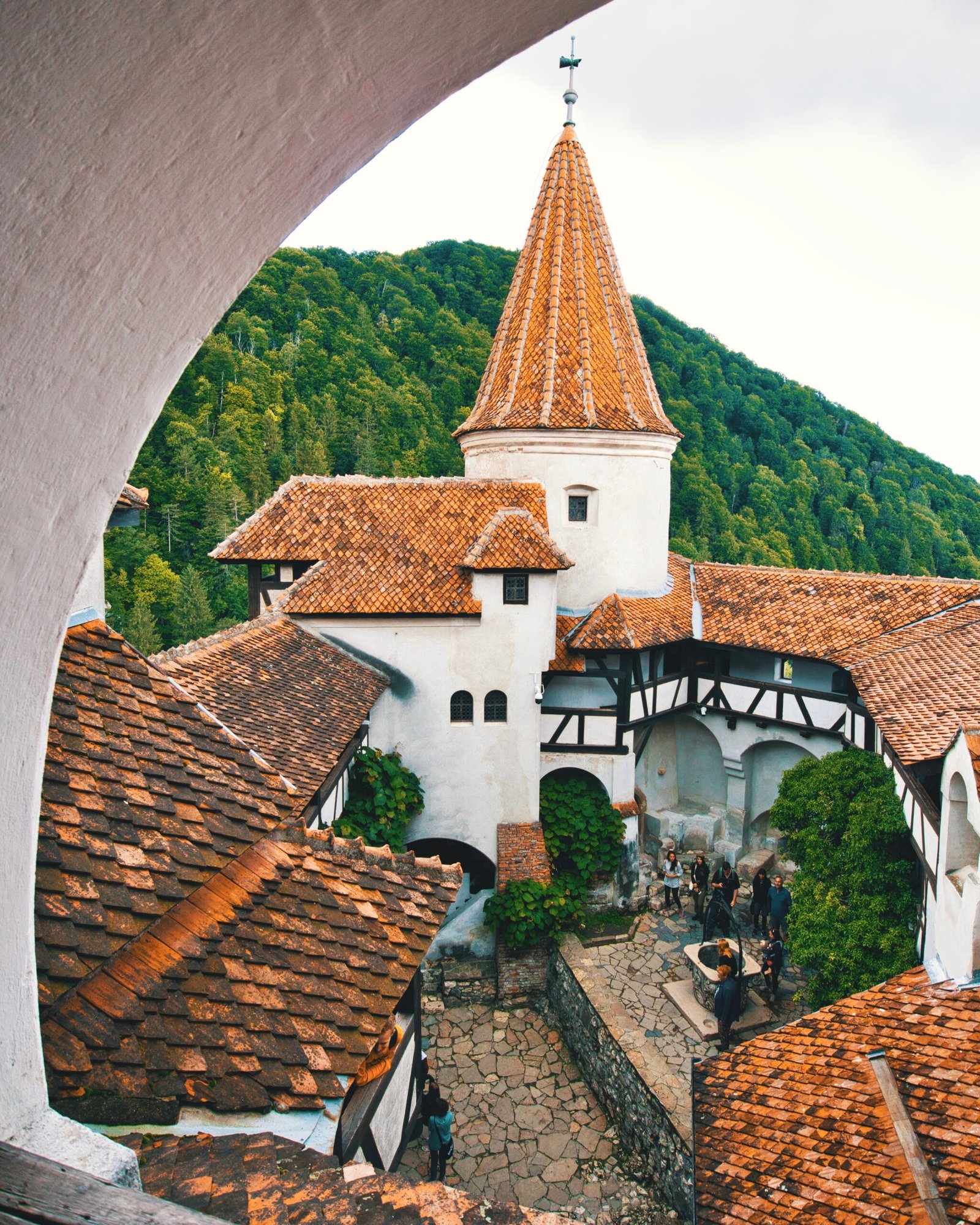 white and brown buildings