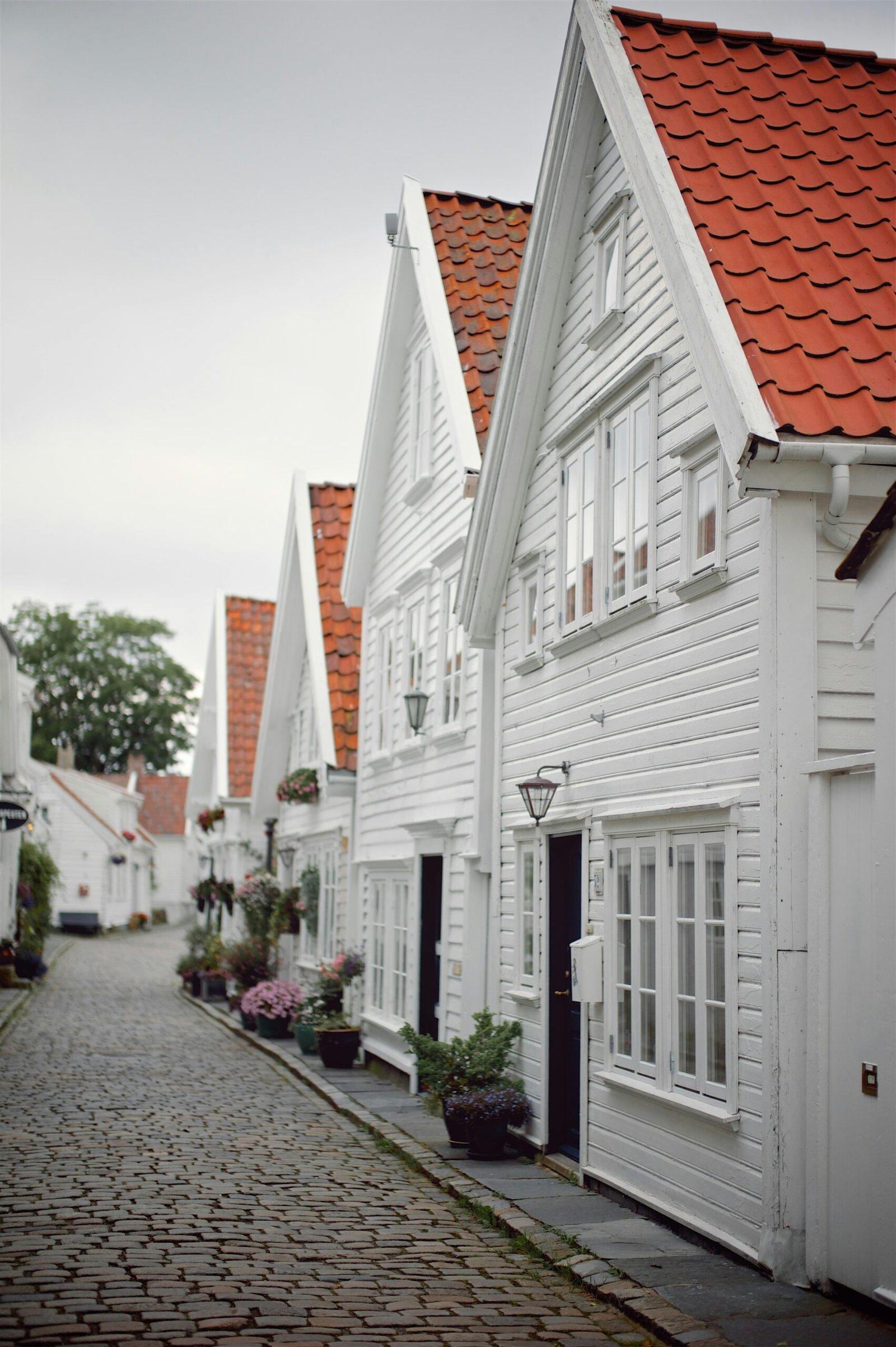 Exploring the Enchanting Beauty of Stavanger, Norway: A Guide for Travelers