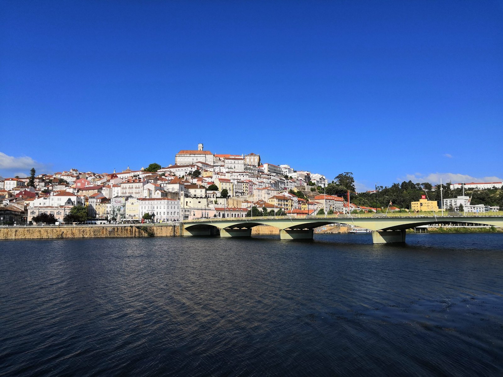 white bridge near houses