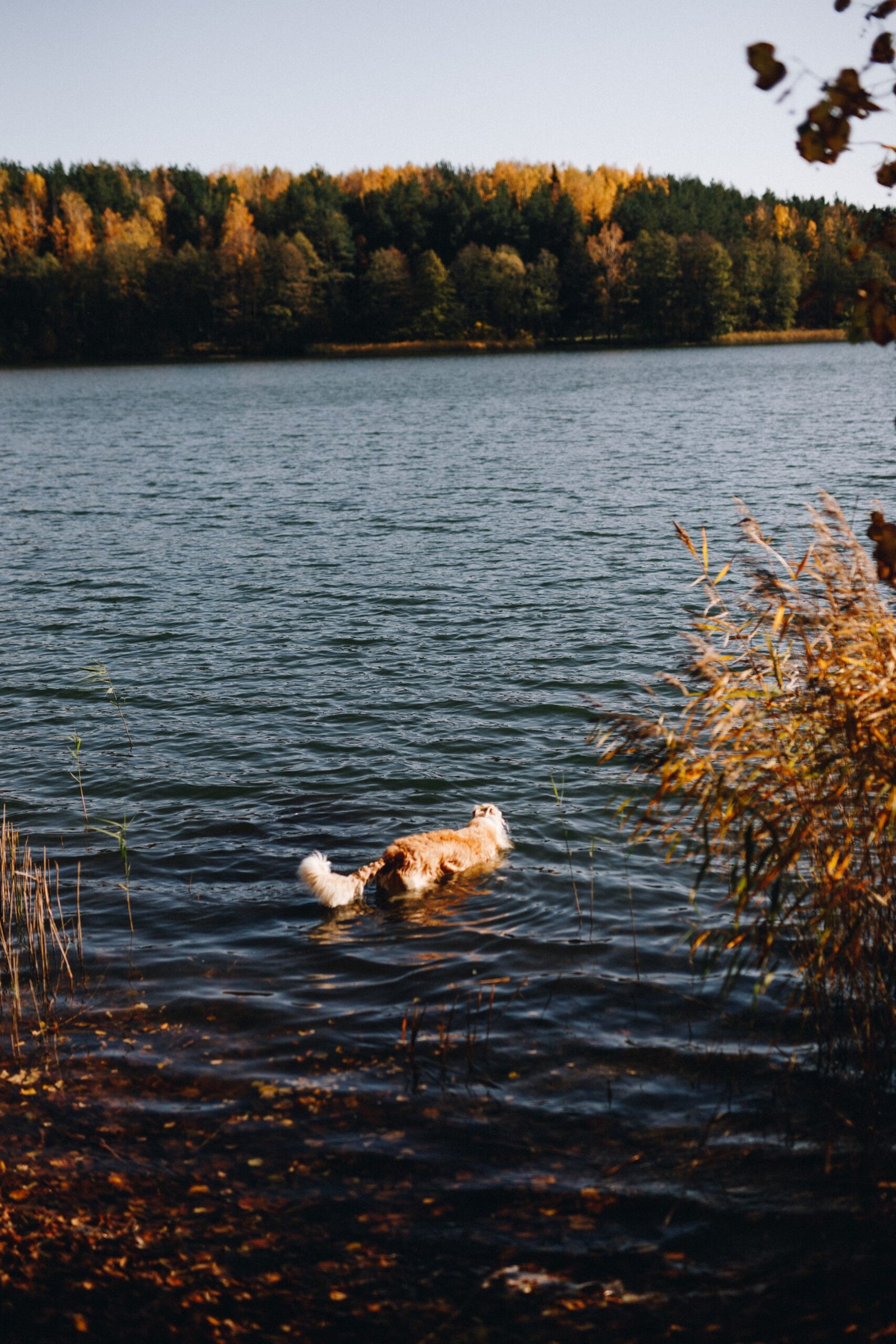 Exploring Trakai, Lithuania: A Hidden Gem in Eastern Europe