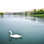 Exploring the Hidden Gem of Maribor, Slovenia: Top 10 Ways to Experience its Charm