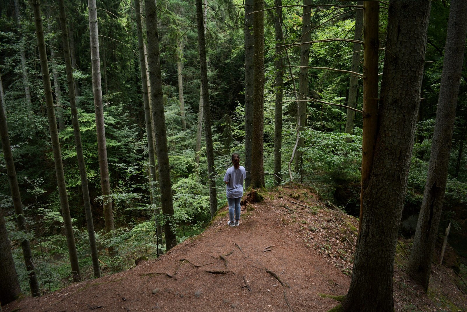 woman standing on cliff under trees